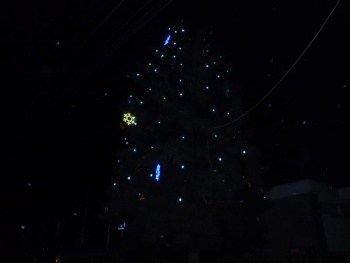 Rozsvěcíme vánoční strom
