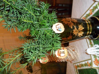 Rozsvěcíme vánoční strom
