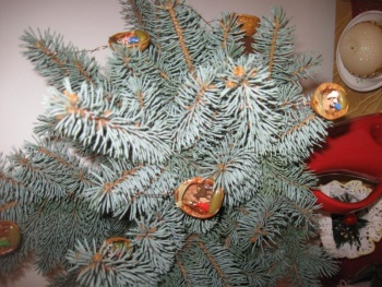 Vánoční strom 2014